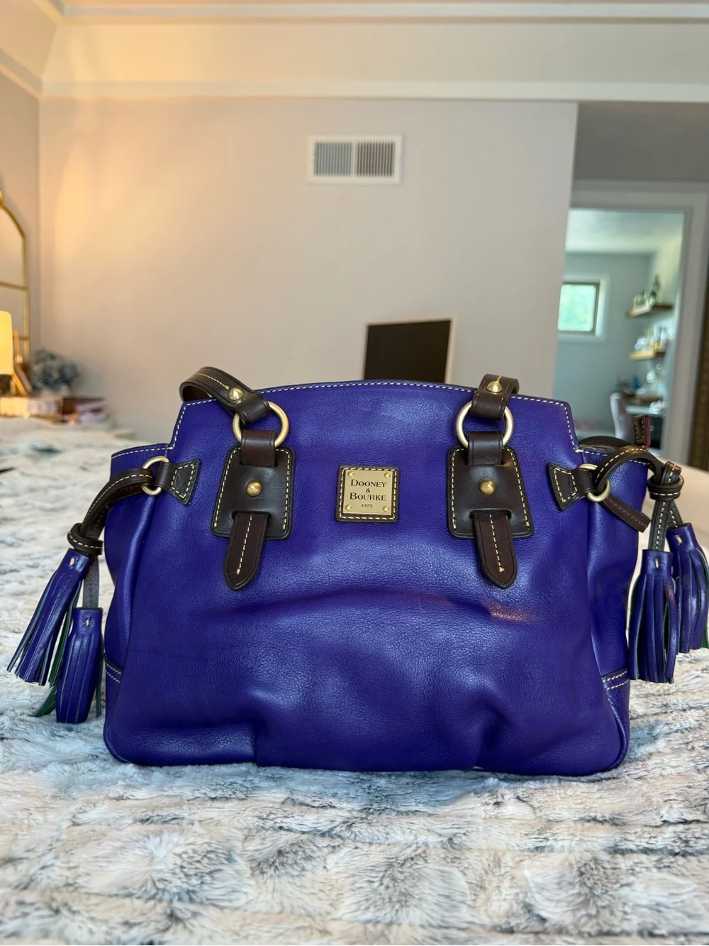Dooney & Bourke Purple Leather Toledo Satchel